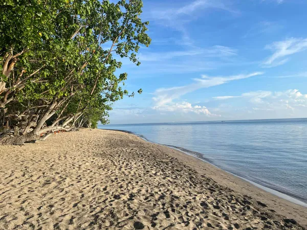Plage de sable claire bordée d’arbres le long d’une mer calme